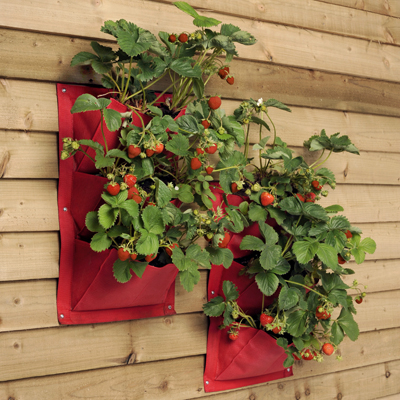 Sacs Ã  plantes rouge contre la paroi, set de 2