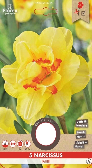 Narcisse Tahiti