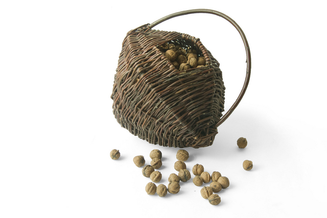 Panier Ã  noix De Wiltfang