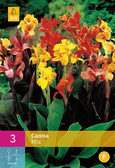 Cannas en mÃ©lange