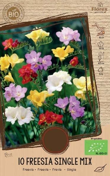 Bulbes Biologiques: Freesias single en mÃ©lange