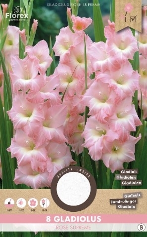 GlaÃ¯euls Rose Supreme