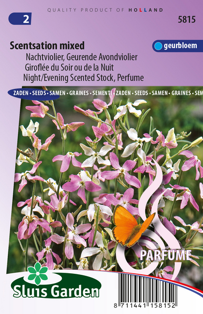 GiroflÃ©e du Soir ou de la Nuit Scentsation Mix