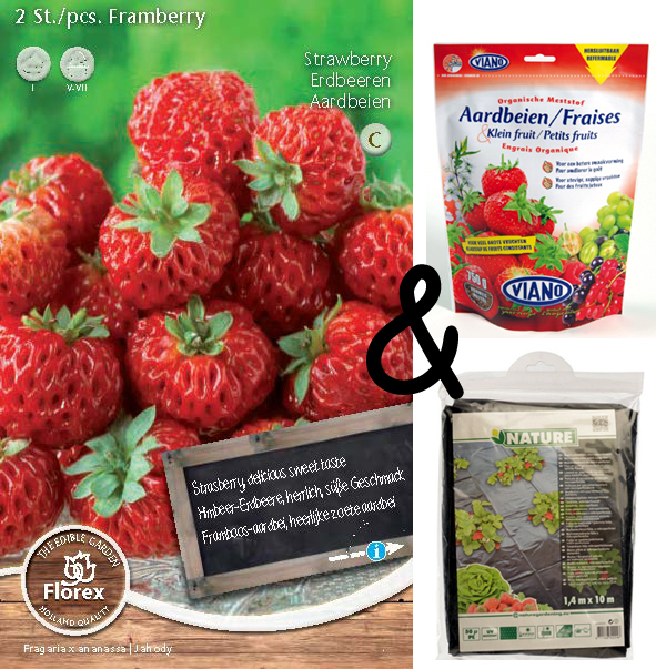 Paquet Fraises Framberry