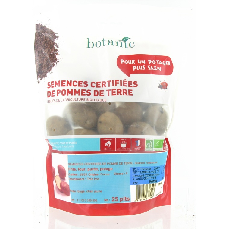 Pommes de terre Bintje bio calibre 0001, 25 plants