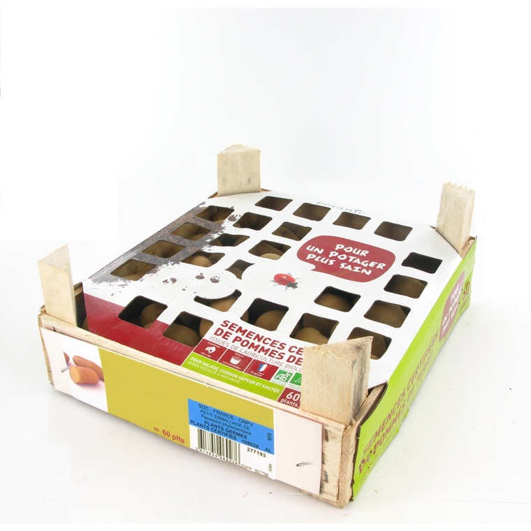 Pommes de terre Charlotte bio calibre 0001, 60 plants