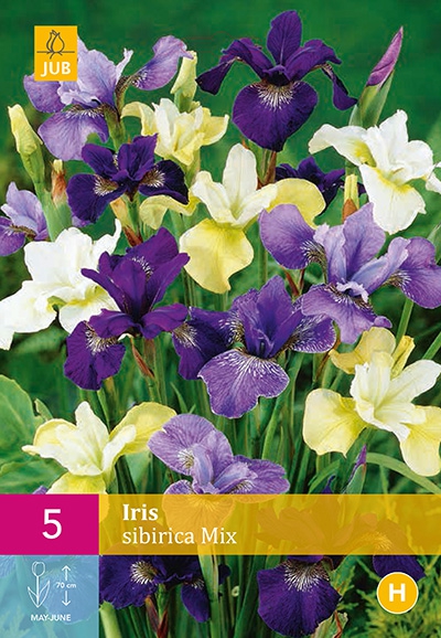 Mix Iris Sibirica