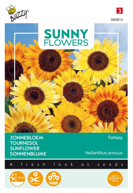 Tournesol - Fantasy