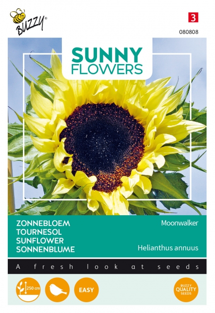 Tournesol - Moonwalker