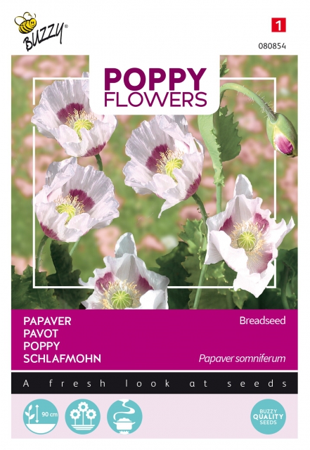 Poppies of the world â" Pavot des Jardins