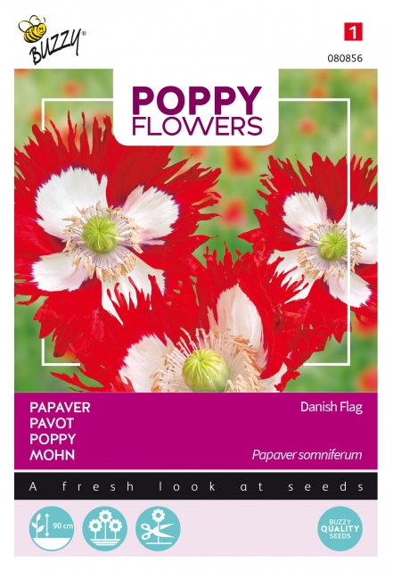 Poppies of the world â" Pavot Drapeau Danois
