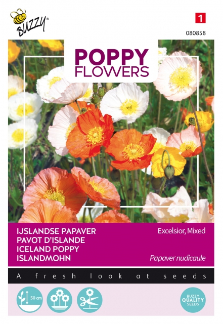 Poppies of the world â" Coquelicot Pavot d'Islande
