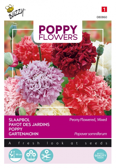 Poppies of the world â" Pavot Somnif. 'Paeoniflorum' Dbl Var.