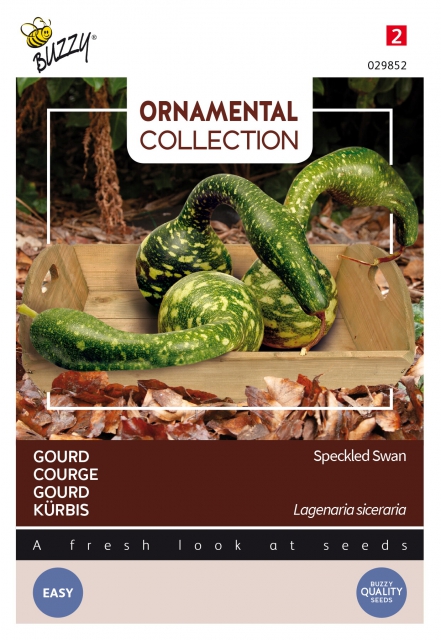 Ornemental Courge Amphore Speckled Swan -Lagenaria