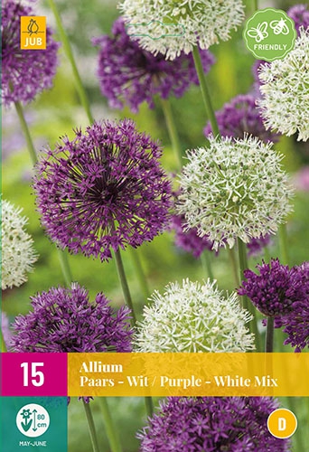 Allium Violet & Blanc MÃ©lange