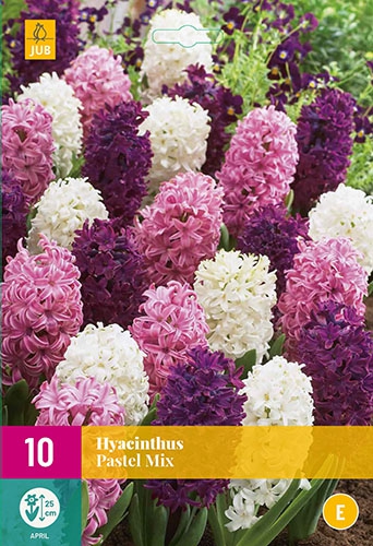 Jacinthes MÃ©lange Romantique