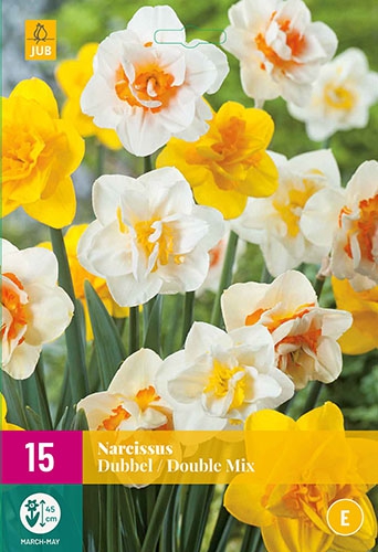Narcisses Double en MÃ©lange