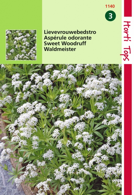 AspÃ©rule Reine des Bois