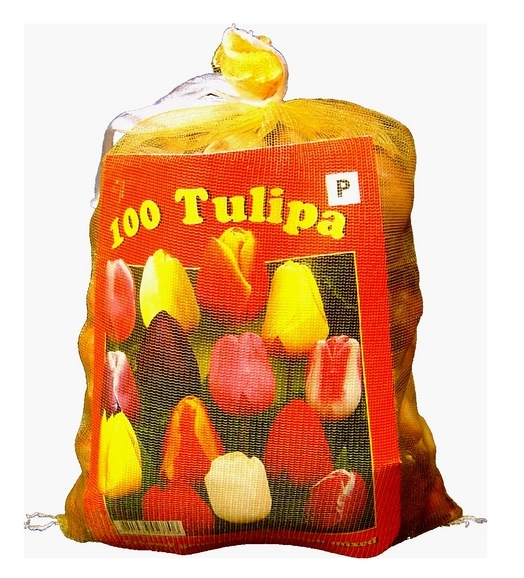 Tulipes Triumph en MÃ©lange (XL-Emballage)