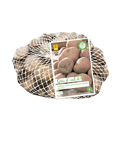 Pommes de terre de pot Bildstar 1 kg