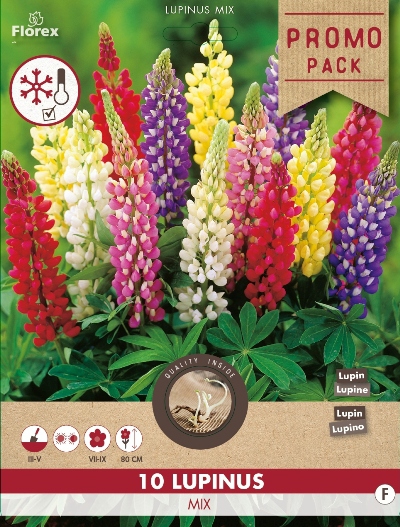 Lupins en mÃ©lange