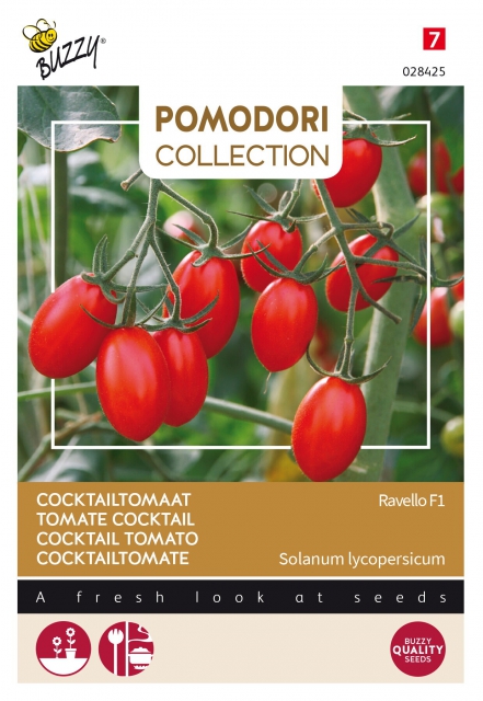 Tomate Ravello F1