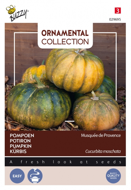 Courge MusquÃ©e de Provence