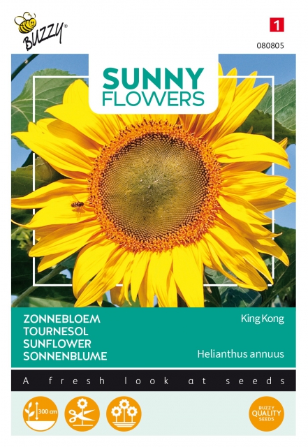 Tournesol - King Kong