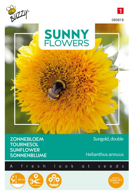 Tournesol - Sungold