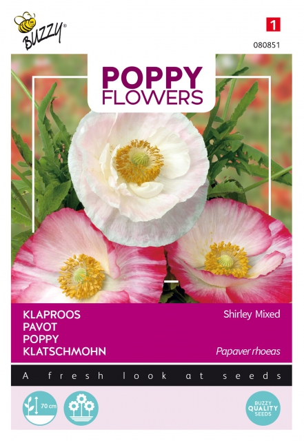 Poppies of the world - Coquelicot en MÃ©lange