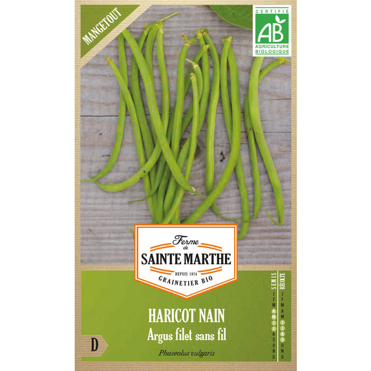 Haricot Argus Nain Mangetout Bio