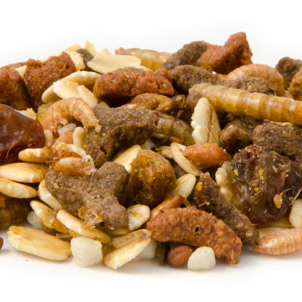 Friandises pour hérissons