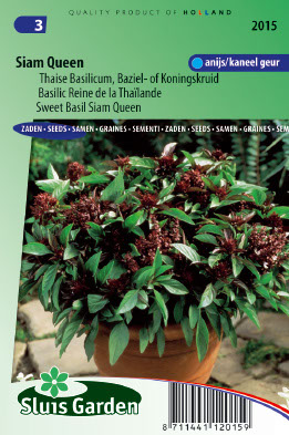Basil Reine de la ThaÃ¯lande Siam Queen