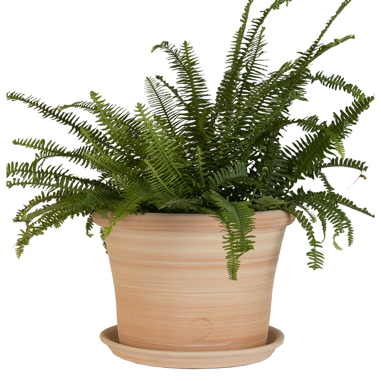 Pot rond Cocio Lisio en terre cuite claire – D24x H19