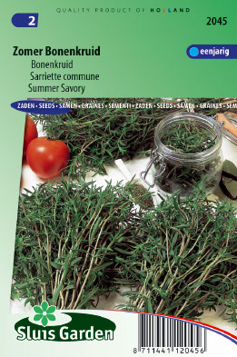 La Sarriette Annuelle (Satureja hortensis)