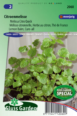 MÃ©lisse citronelle Citro Quick (ThÃ© de France)