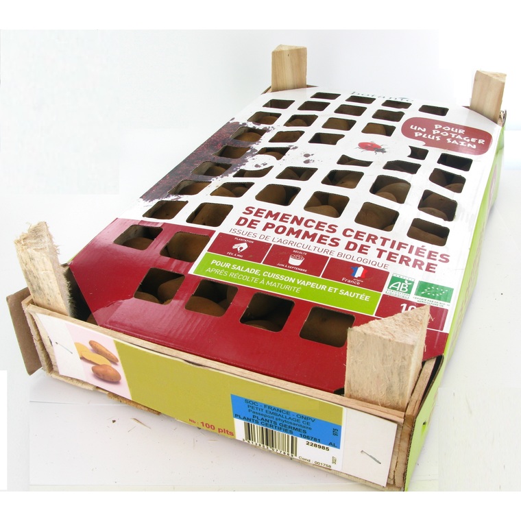 Pommes de terre Amandine bio calibre 0001, 100 plants