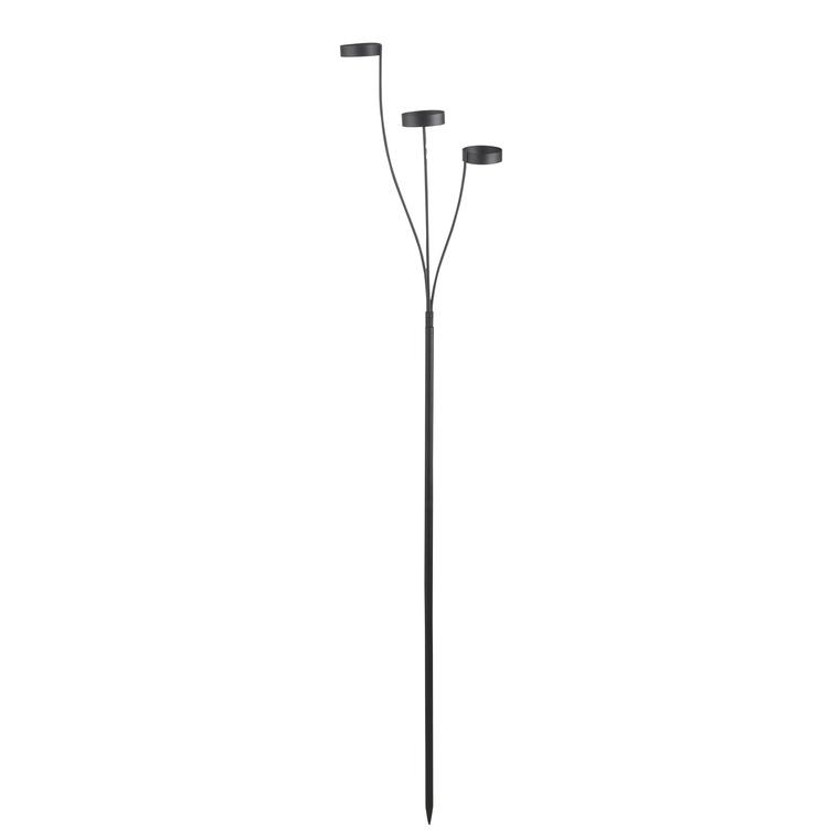 Bouquet pour 3 verres luisants