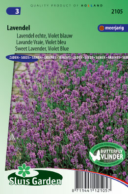 Lavande Vraie, violet bleu