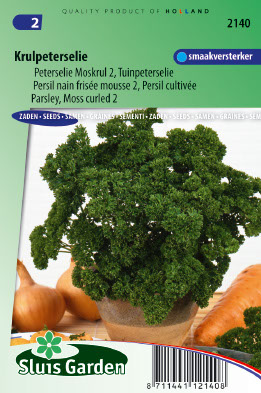 Persil nain frisÃ©e mousse 2