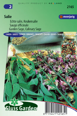 Sauge officinale