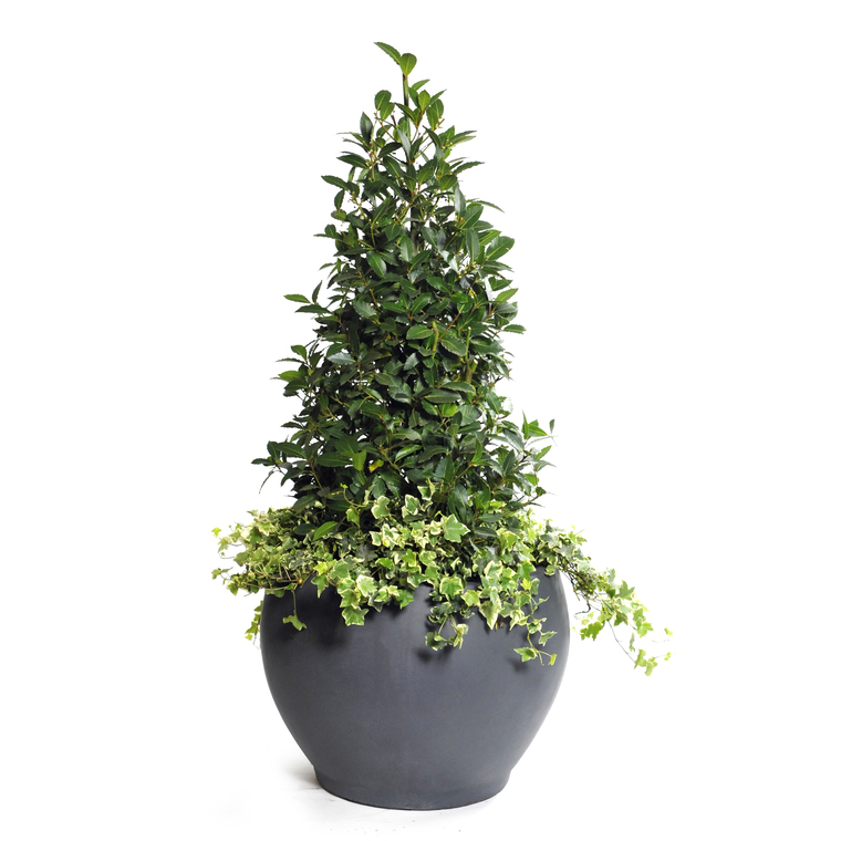 Pot boule GENEVE D.63xH.45 Gris