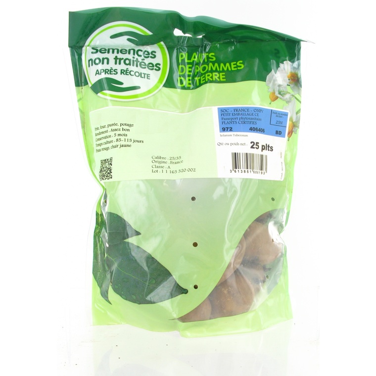 Pommes de terre Soleia calibre 28/35, 25 plants