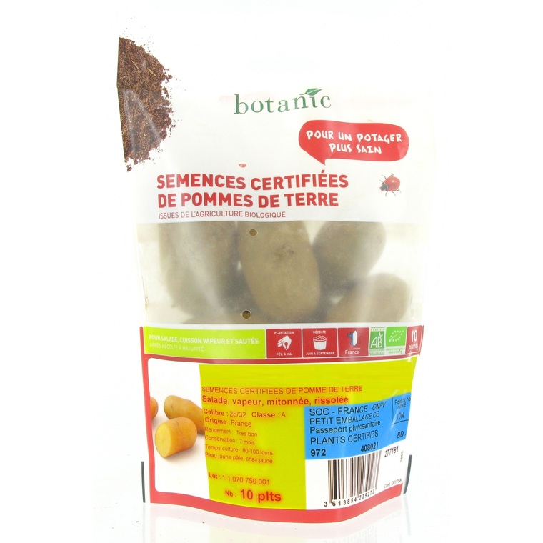 Pommes de terre Ditta bio calibre 0001, 10 plants