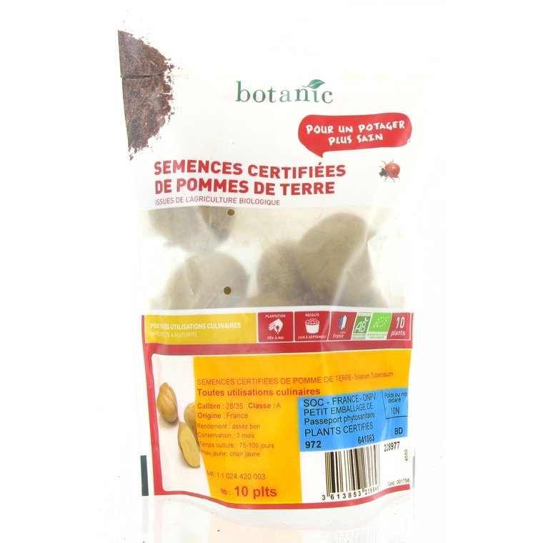 Pommes de terre Sirtema bio calibre 0001, 10 plants