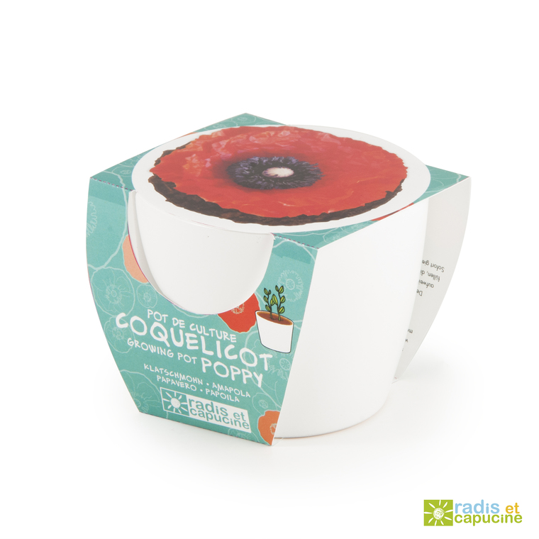 Mini kit céramique Coquelicot