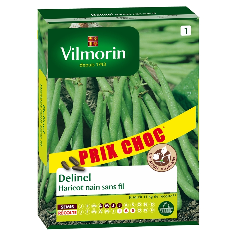 Haricot Delinel 140g