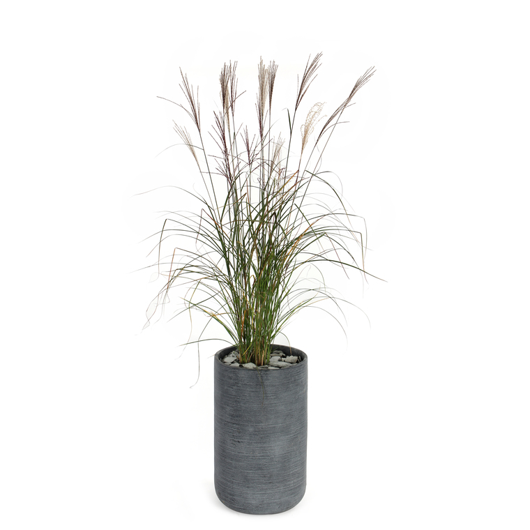 Pot rond STREAM  haut Anthracite Ø.37 x H.60 cm