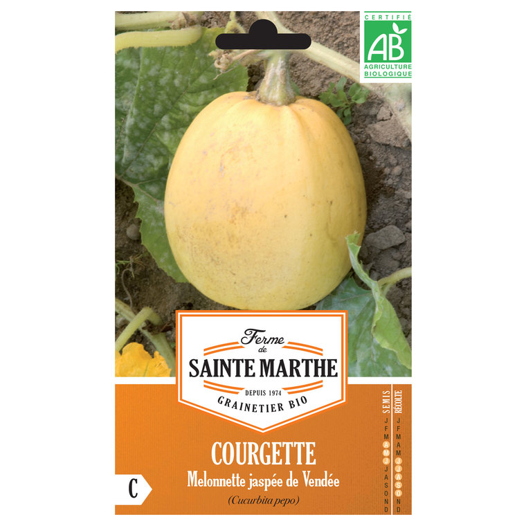Courgette Melonnette Jaspée de Vendée