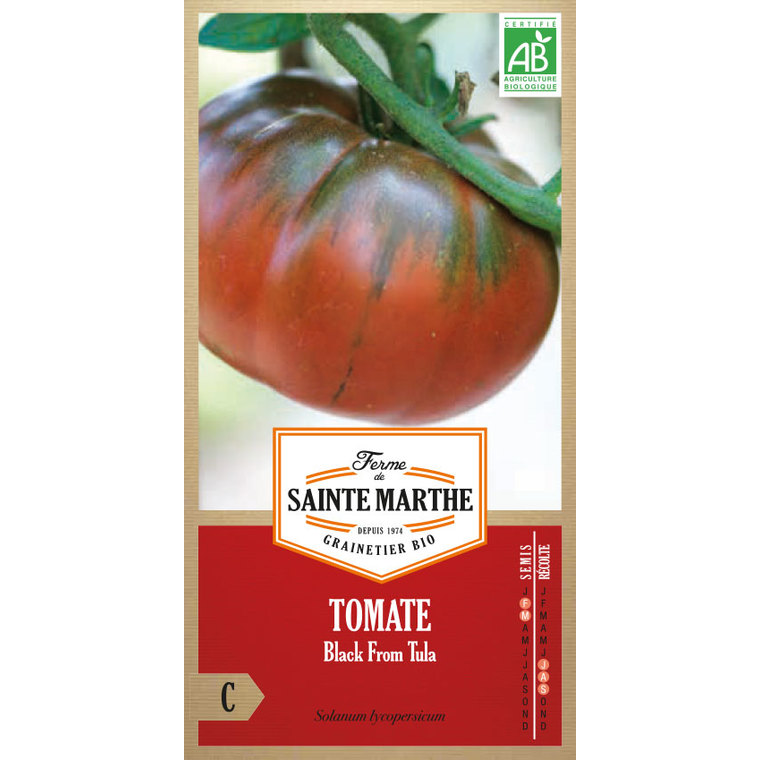 Tomate Black From Tula